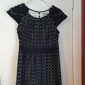 Ann Taylor Petite zip back dress black cuteout dress